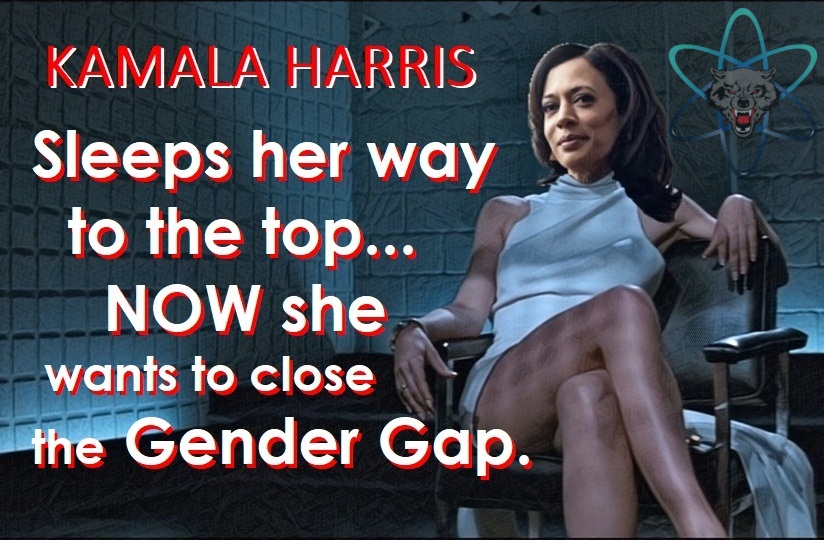 1-kamala-harris-gender-gap.jpg