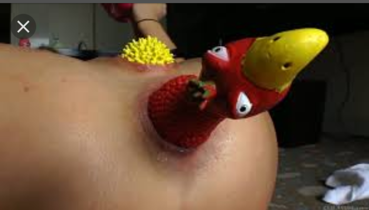 Chicken porn video