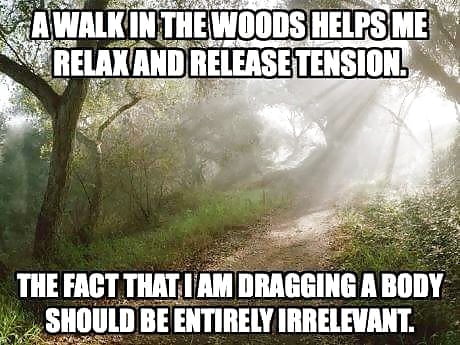 A Walk in the Woods.jpg