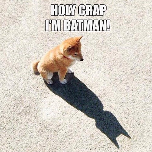 Batdog Meme.jpg