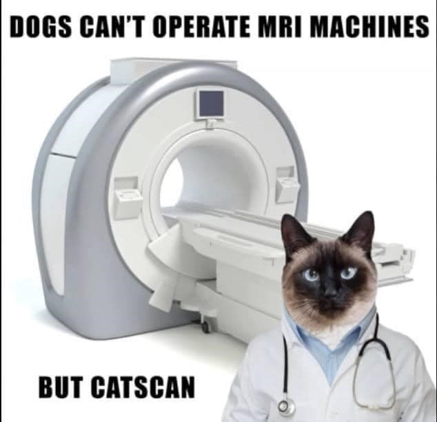 dogs-cant-operate-mri-machines-but-catscan-jpeg.6468564