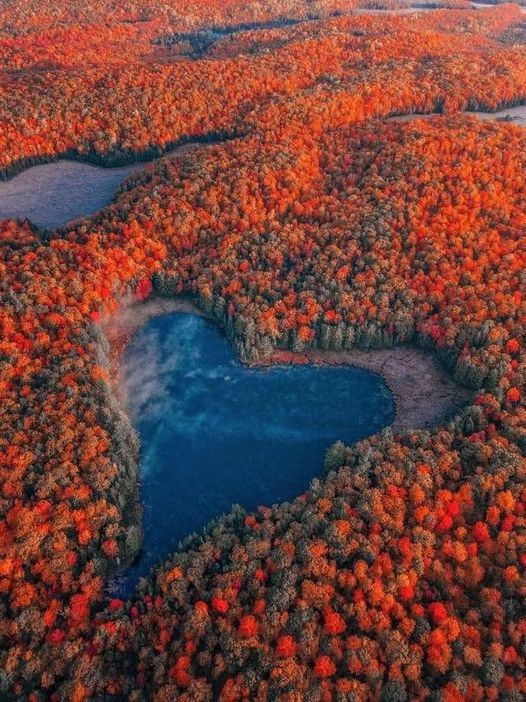 Heart Lake, Ontario - Autumn.jpg