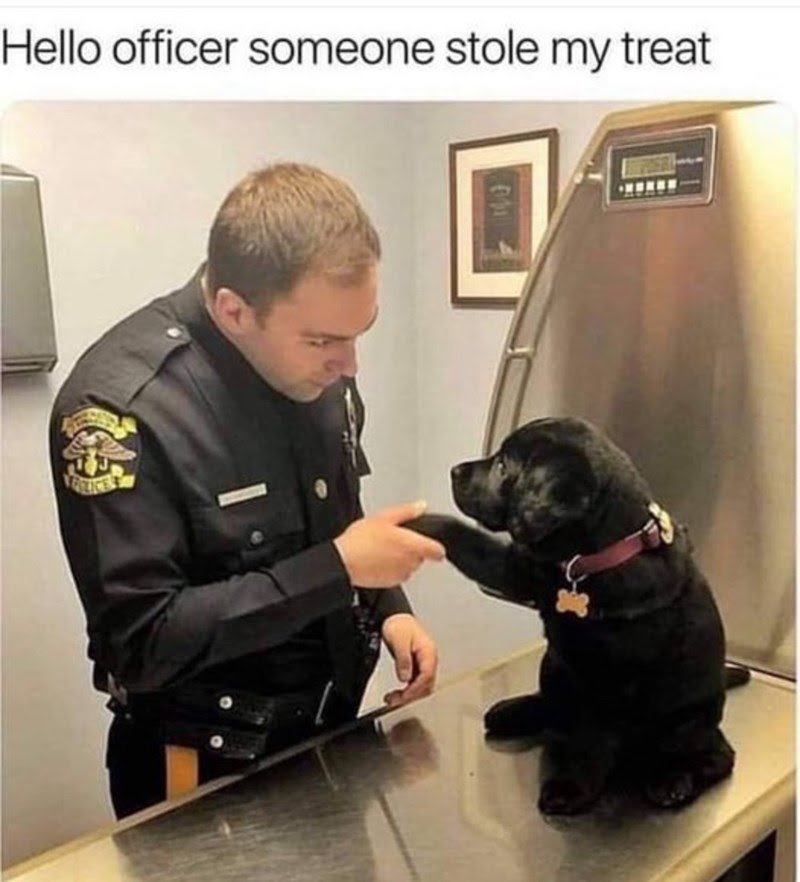 hello-officer-someone-stole-my-treat.jpeg