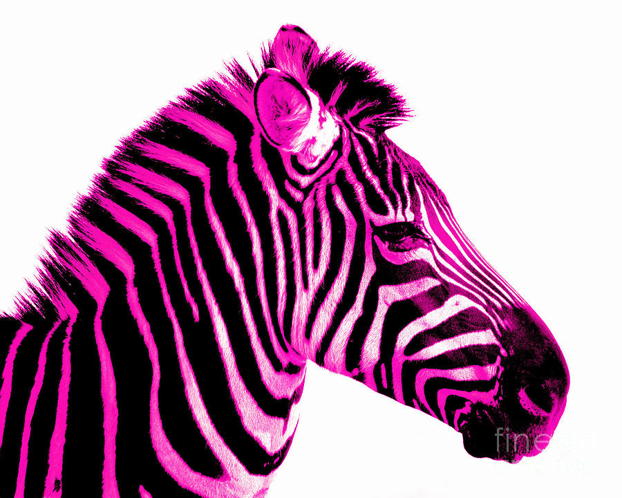 hot-pink-zebra-rebecca-margraf.jpg