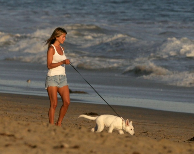 jennifer_aniston_jennifer_walking_her_dogs_A4REXRR.sized.jpg