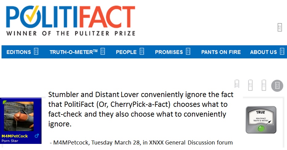 m4mpetcock politifact quote about stumbles and distant lover.jpg