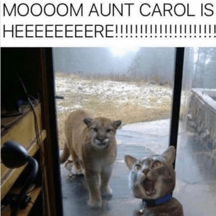 moooom-aunt-carol-is-heeeeeeeere.png