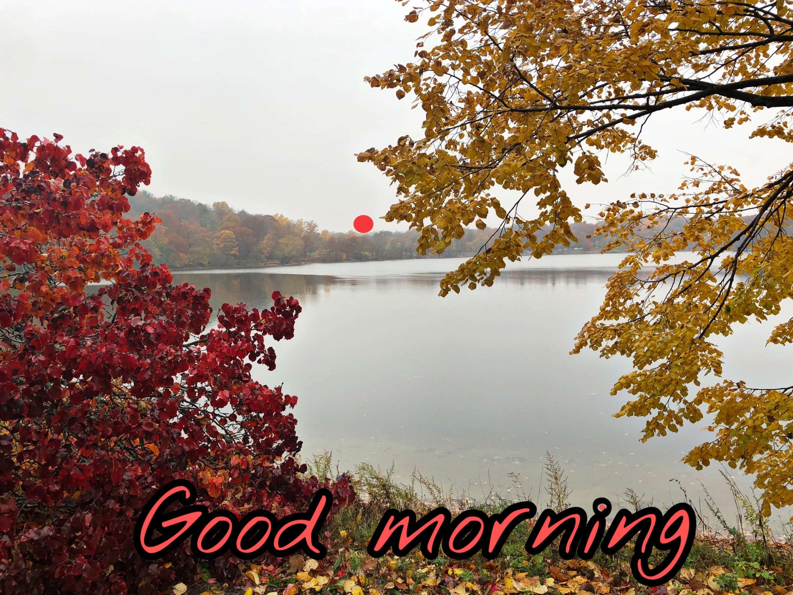 Morning-Nature-Wallpaper.jpg