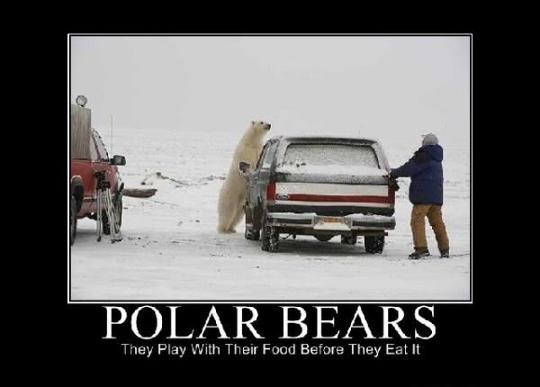 Polar_Bears.jpg