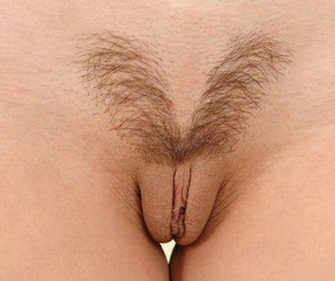 Pubic Hair 2.jpg. 