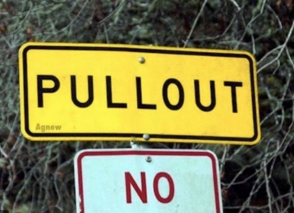 Pullout.JPG