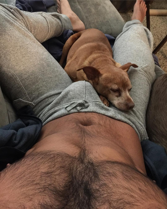 puppies_and_bulges_4.jpg