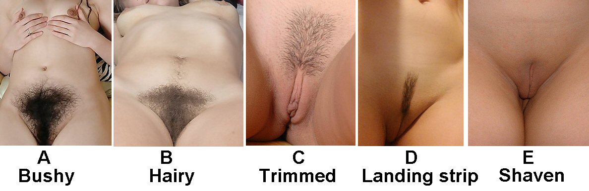 What Is Your Preferred Pussy Hairstyle Xnxx Adult Forum