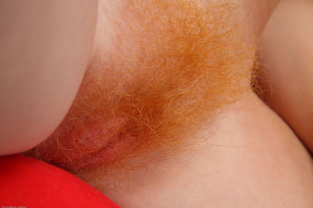 Hairy Ginger Pussy Close Up Nude Girls Pictures My Xxx Hot Girl