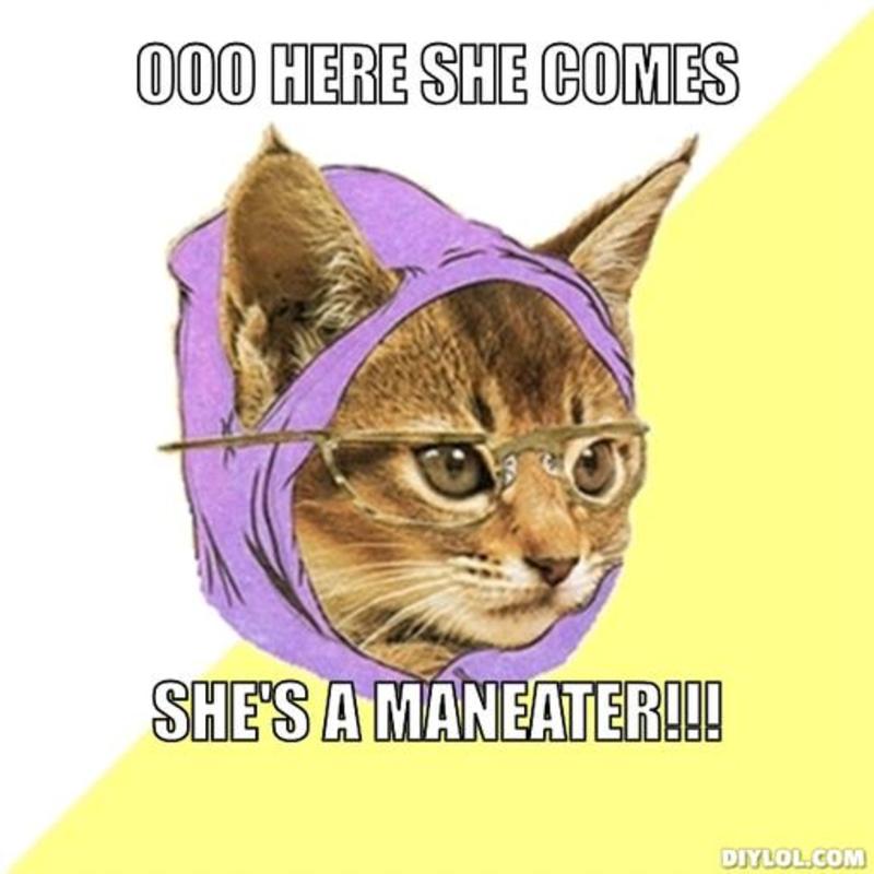 resized_hipster-kitty-meme-generator-ooo-here-she-comes-she-s-a-maneater-689b0d.jpg