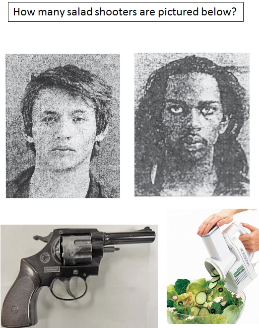 salad robbery - salad shooters quiz.jpg