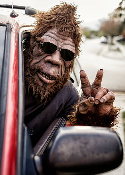 sasquatch-road-trip.jpg