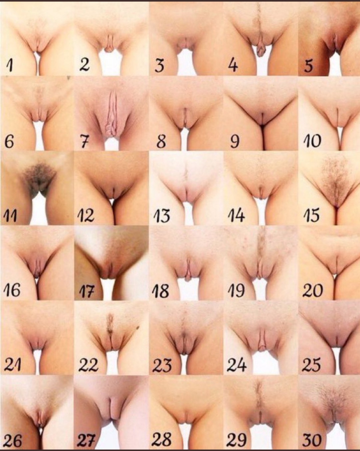 What number pussy do you have? 