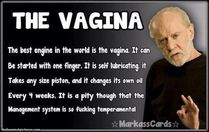 The-vagina.jpg