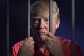 TrumpinPrison 2.jpg