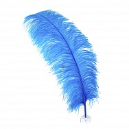 turquoise-ostrich-feather-prime-femina-op30flb--dkt-main_2.jpg