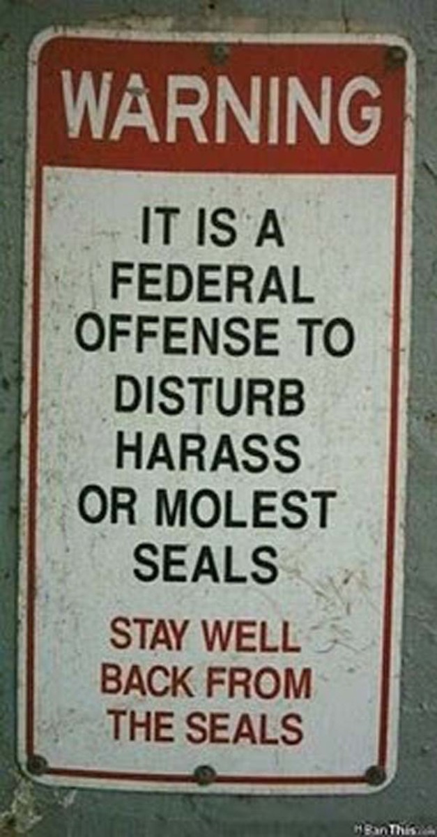 warning-signs33.jpg