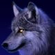 Wolf_Knight