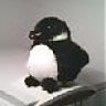 DarkPengu