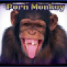 Porn Monkey